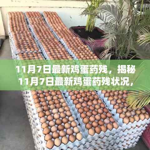 揭秘最新鸡蛋药残状况,如何保障食品安全与个体健康?