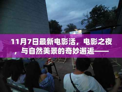 电影之夜,与自然美景的奇妙邂逅,启程寻找内心的宁静与平和之旅