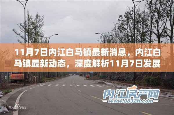 内江白马镇最新动态,深度解析发展成果与体验(11月7日最新消息)