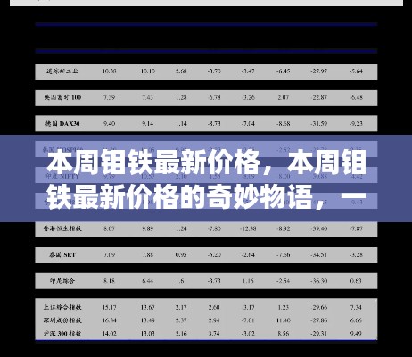 本周钼铁最新价格揭秘,友情与陪伴的温馨旅程