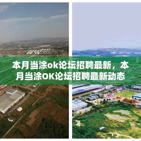 本月当涂OK论坛招聘最新动态,人才热土的深刻影响与地位探索