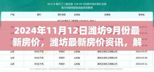 揭秘2024年11月潍坊最新房价动态,掌握最新资讯解锁新高度
