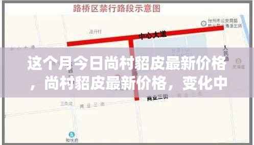 尚村貂皮最新价格动态,学习成长与自信成就感的源泉