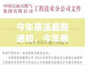 慈溪最新通知下的多元观点深度探析与论述