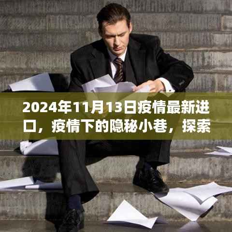 疫情下的隐秘小巷,探索独特进口特色小店的奇妙之旅(最新疫情进口资讯,2024年11月)