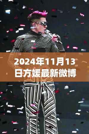 方媛最新微博动态，星光闪耀与影响力回顾，2024年11月13日记录时刻
