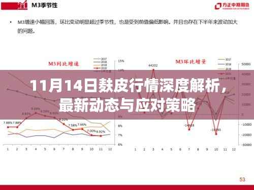 11月14日麸皮行情深度解析,最新动态与应对策略