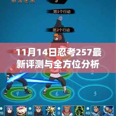 11月14日忍考257最新评测与全方位分析,特性、体验、对比及用户群体洞察