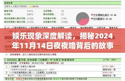 娱乐现象深度解读,揭秘2024年11月14日夜夜噜背后的故事
