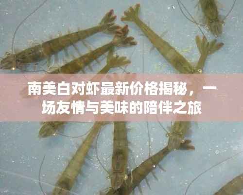南美白对虾最新价格揭秘,一场友情与美味的陪伴之旅