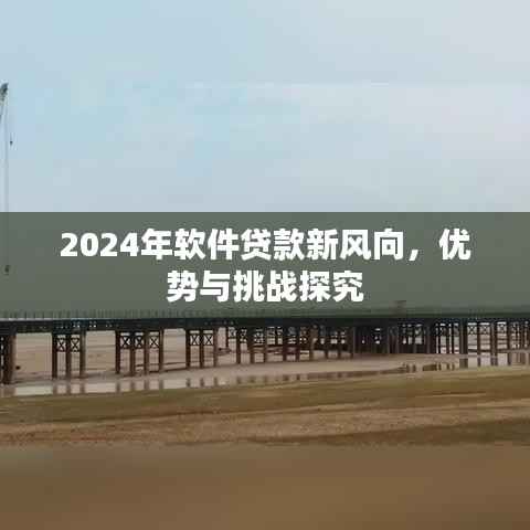 2024年软件贷款新风向，优势与挑战探究