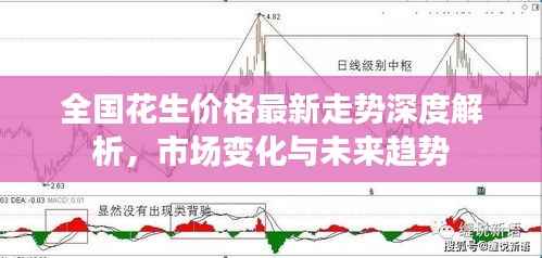 全国花生价格最新走势深度解析,市场变化与未来趋势