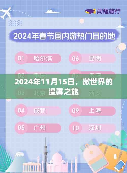 2024年11月15日,微世界的温馨之旅