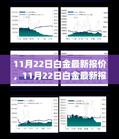 11月22日白金最新报价,洞悉市场走势,把握投资机遇