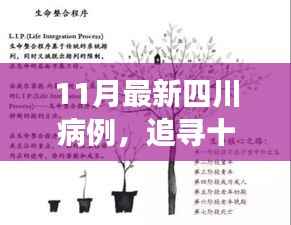 四川十一月病例追踪与美景探索，心灵宁静之旅
