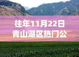 青山湖区秋日秘境之旅，追寻自然美景，探寻内心宁静的秋日体验