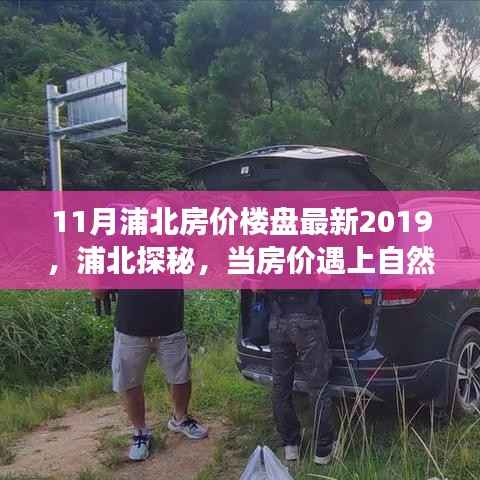 心灵之旅启程时,揭秘浦北房价楼盘最新动态与美景交融