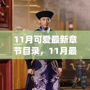 11月可爱最新章节目录,11月最新章节目录下的可爱之争,多方视角的探讨与个人立场