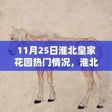 淮北皇家花园隐藏小巷的特色小店,揭秘11月25日的热门惊喜