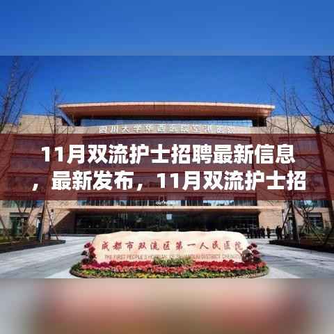 11月双流护士招聘最新信息及资讯概览