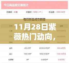 11月28日紫薇热门动向产品评测,特性、体验、对比及用户深度分析