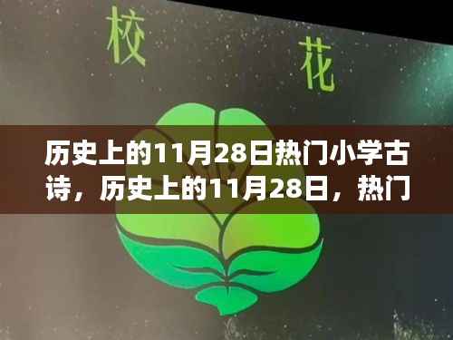 历史上的11月28日,小学古诗的魅力与争议之旅