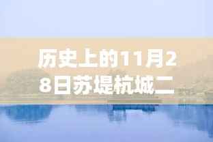 历史上的11月28日揭秘,苏堤杭城二期最新进展与消息速递