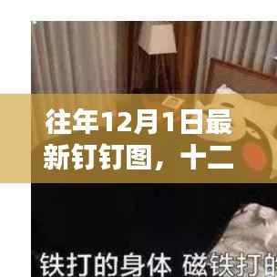 十二月首个周一的钉钉图故事温暖启幕