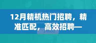 12月精机热门招聘系统深度评测,精准匹配与高效招聘
