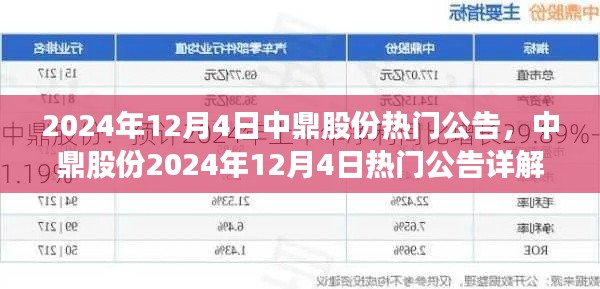 中鼎股份2024年12月4日热门公告详解，展望要点、动态与影响分析