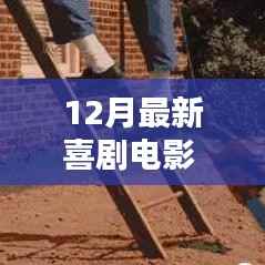 12月爆笑喜剧电影佳作盘点,引爆笑点的电影推荐