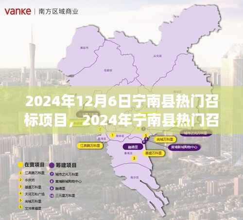 宁南县热门召标项目全景解析(最新资讯,时间,2024年12月6日)