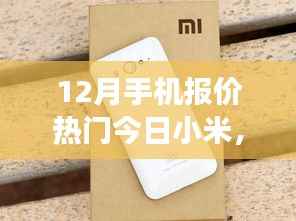 今日热门小米,旅行伴侣的最佳选择,探索自然美景与手机报价