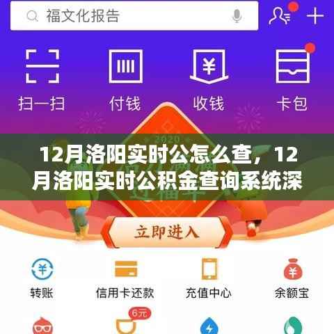 12月洛阳实时公积金查询系统详解与深度评测