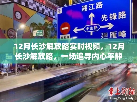 追寻内心平静之旅,长沙解放路实时视频带你领略自然美景魅力
