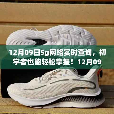初学者也能轻松掌握的5G网络实时查询指南(详细步骤,12月09日更新)