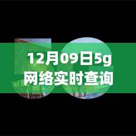 初学者也能轻松掌握的5G网络实时查询指南(详细步骤,12月09日更新)