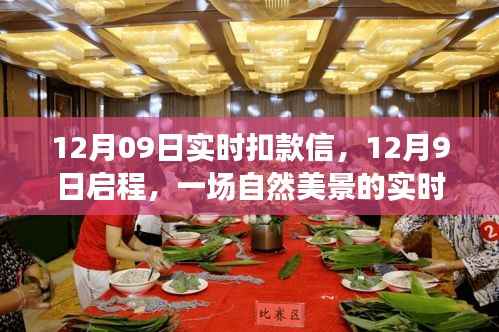 心灵之旅启程，实时扣款信带你解锁自然美景的十二月之旅