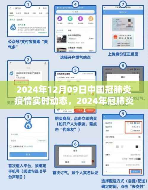 中国篇新冠肺炎疫情实时动态跟踪指南，初学者与进阶用户参考（2024年）