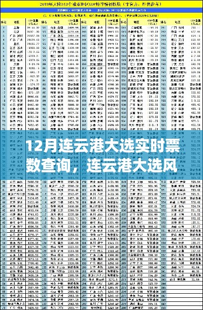 连云港大选风云录,实时票数查询背后的故事与热点解析