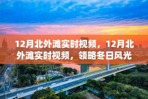 领略冬日北外滩风光,实时视频带您感受都市脉动