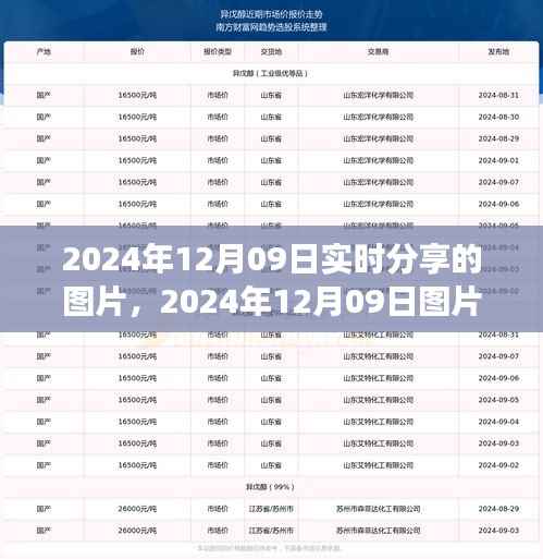 学习变迁的魔力,自信成就辉煌瞬间的图片分享