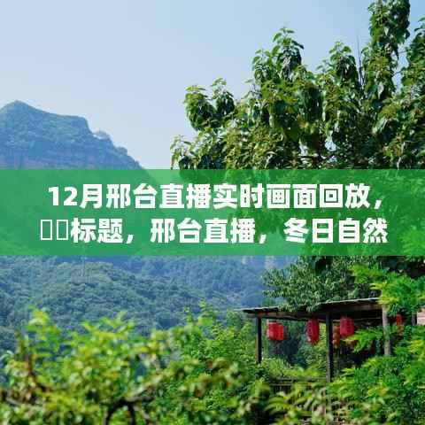 邢台直播，冬日自然之旅探寻宁静心灵的直播回放