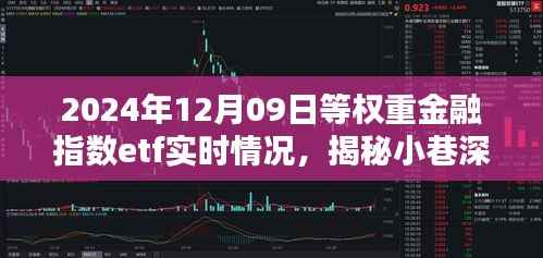 揭秘小巷深处的金融宝藏，2024年等权重金融指数ETF实时动态报告（附日期）