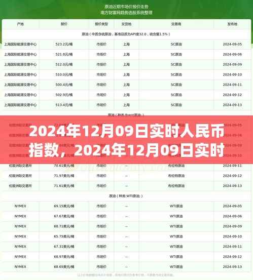 洞悉未来货币走向的关键指标，揭秘实时人民币指数在2024年12月09日的动态