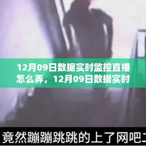 12月09日数据实时监控直播详解，实施策略与观点碰撞
