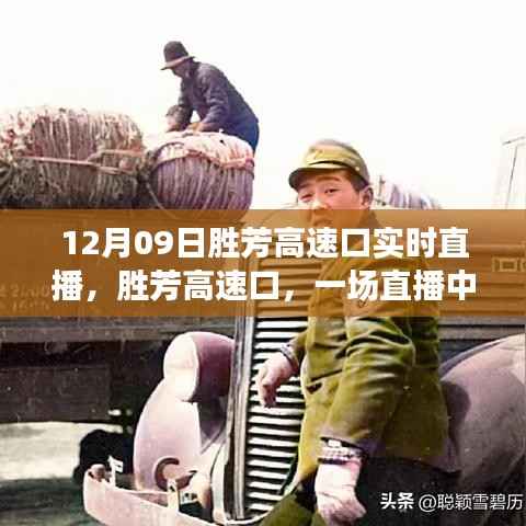 鸟尽弓藏 第4页