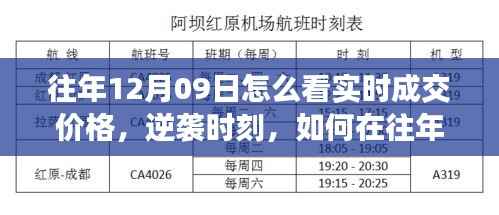 往年12月09日实时成交价格洞察,逆袭时刻的智慧火花捕捉指南