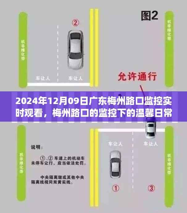 梅州路口监控下的温馨日常,陪伴之旅的不期而遇