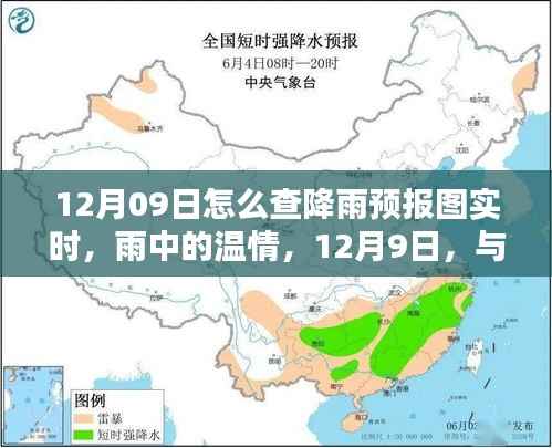 12月9日降雨预报实时查询，雨中温情与舞动的日子